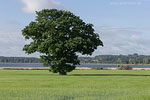 Seenlandschaft