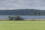Seenlandschaft