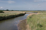 Seenlandschaft