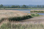 Seenlandschaft