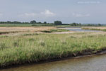 Seenlandschaft