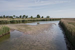 Seenlandschaft