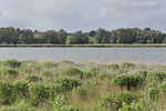 Seenlandschaft