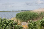 Seenlandschaft
