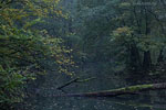 Seenlandschaft
