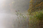 Seenlandschaft