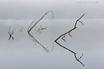 Seenlandschaft