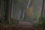 Seenlandschaft