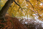 Seenlandschaft