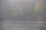 Seenlandschaft