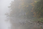 Seenlandschaft