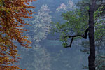 Seenlandschaft