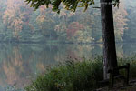 Seenlandschaft