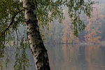Seenlandschaft