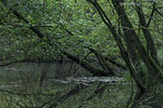 Seenlandschaft