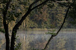 Seenlandschaft