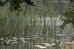 Seenlandschaft