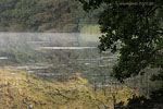 Seenlandschaft