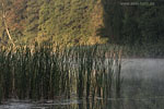 Seenlandschaft