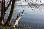 Seenlandschaft