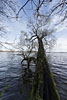 Seenlandschaft