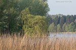 Seenlandschaft