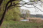 Seenlandschaft