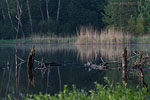 Seenlandschaft