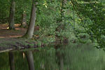 Seenlandschaft