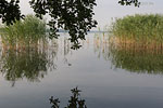 Seenlandschaft