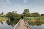 Seenlandschaft