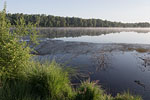 Seenlandschaft