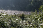 Seenlandschaft