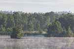 Seenlandschaft