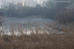 Seenlandschaft