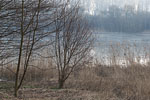 Seenlandschaft