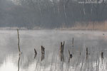 Seenlandschaft