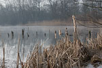 Seenlandschaft