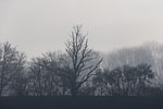 Seenlandschaft