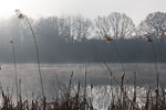 Seenlandschaft