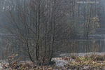 Seenlandschaft