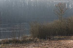 Seenlandschaft
