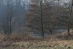 Seenlandschaft