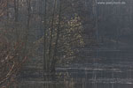 Seenlandschaft