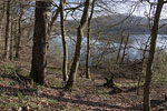Seenlandschaft