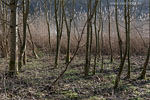 Seenlandschaft