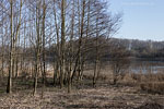 Seenlandschaft