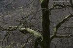 Seenlandschaft