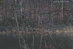 Seenlandschaft