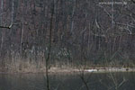 Seenlandschaft